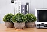 T4U Künstliche Grün Gras Bonsai Kunstpflanze mit grauen Topf, für Hochzeit/Büro/Zuhause Dekoration - 3er Set - 2