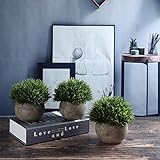 T4U Künstliche Grün Gras Bonsai Kunstpflanze mit grauen Topf, für Hochzeit/Büro/Zuhause Dekoration - 3er Set - 3