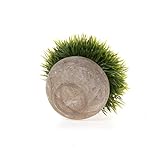 T4U Künstliche Grün Gras Bonsai Kunstpflanze mit grauen Topf, für Hochzeit/Büro/Zuhause Dekoration – 3er Set - 6