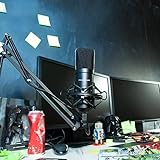 auna MIC-900B, USB Kondensator-Mikrofon, Gaming-Mikrofon, Standmikrofon für Gesangs- und Sprachaufnahmen, PC & Studio, 16 mm Kapsel, 320Hz – 18KHz, schwarz - 2